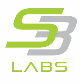 S3LAB logo